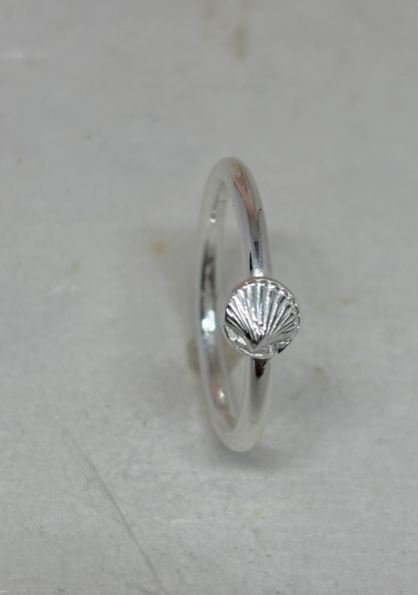 Zilveren ring schelp